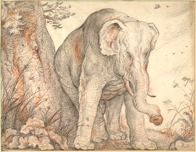 Roelant Savery - An Elephant Rubbing Itself against a Tree, c. 1608-1612 - Google Art Project. Free illustration for personal and commercial use.