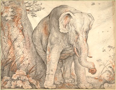 Roelant Savery - An Elephant Rubbing Itself against a Tree, c. 1608-1612 - Google Art Project
