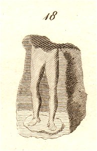 Roman Antiquities at Castlesteads in Cumberland Figure 18