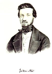 Rohn Portrait of Mór Jókai