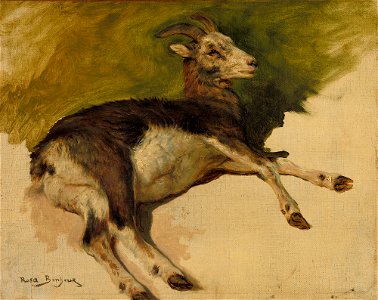 Rosa Bonheur - A she-goat - Isabella Stewart Gardner museum