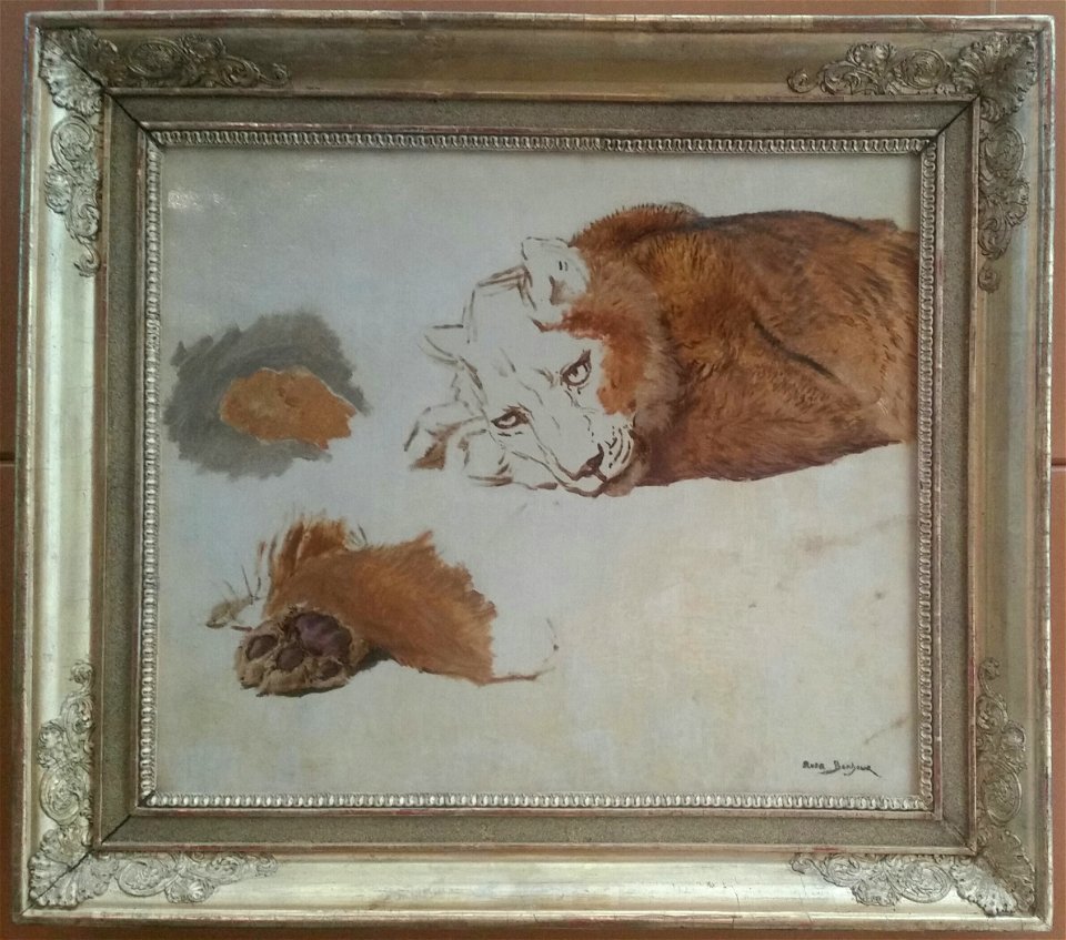 Rosa Bonheur, Étude de lionne