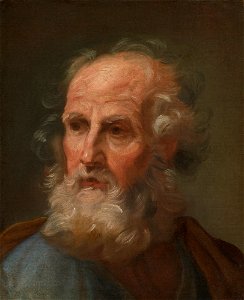Roman School 17th Century Head of An Old Bearded Man