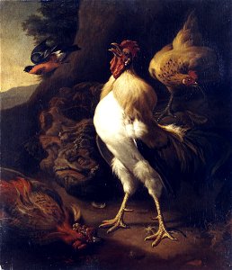 Rooster (in the style of Hondecoeter)