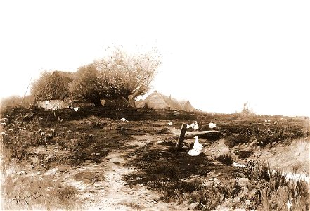 Roman Kochanowski 042 (25054031658)