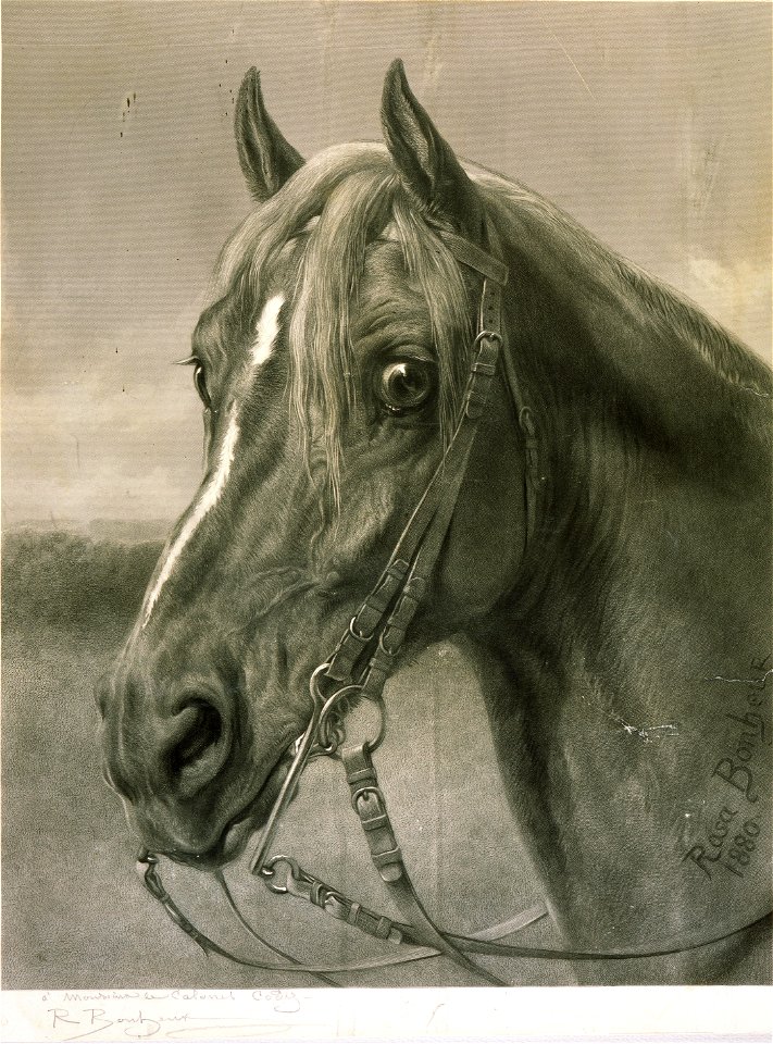 Rosa Bonheur - A Monsieur le Colonel Cody