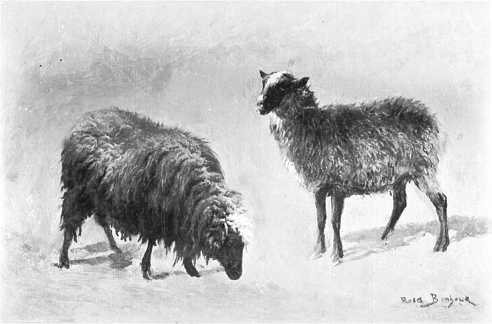Rosa Bonheur - Deux moutons dans le pâturage