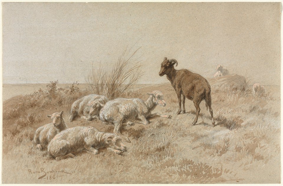 Rosa Bonheur (French, 1822-1899) - Sheep - 492.1915 - Cleveland Museum of Art