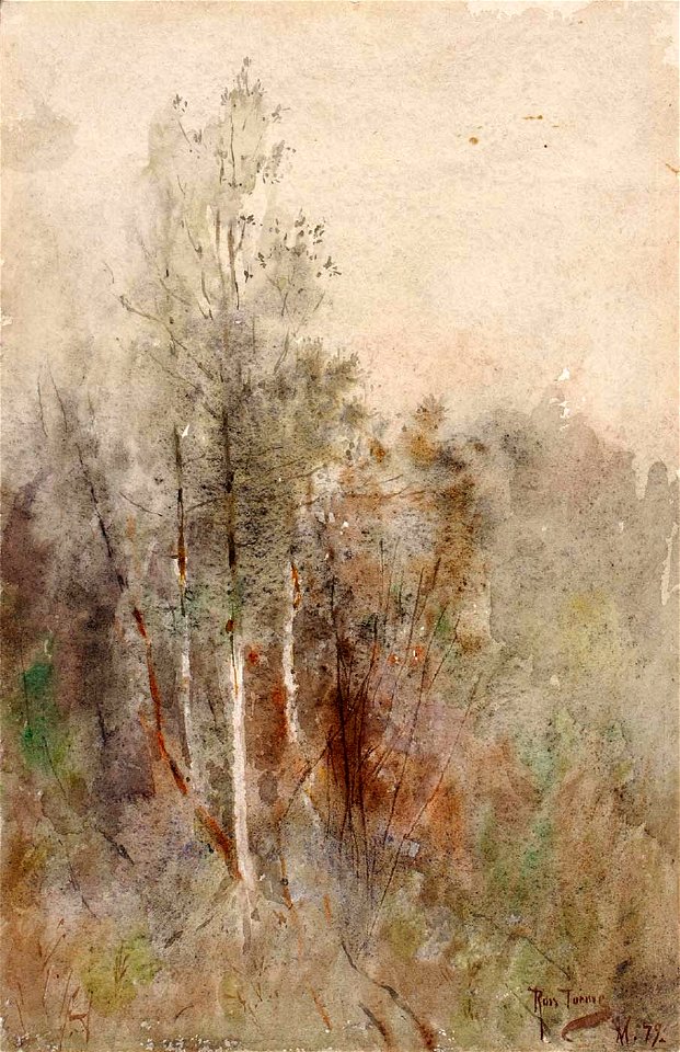 Ross Turner - A Tree Study - 1930.12.55 - Smithsonian American Art Museum