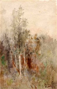 Ross Turner - A Tree Study - 1930.12.55 - Smithsonian American Art Museum