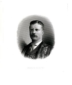 ROOSEVELT, Theodore-President (BEP eng portrait raw)
