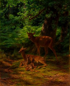 Rosa Bonheur - Deer in Repose - 20.93 - Detroit Institute of Arts
