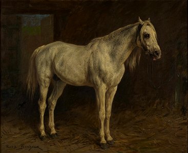 Rosa Bonheur - White Horse - y1969-107 - Princeton University Art Museum