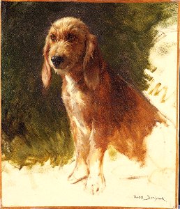 Rosa Bonheur - Study of a Dog - y1976-23 - Princeton University Art Museum