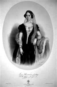 Rosa Csillag II Litho