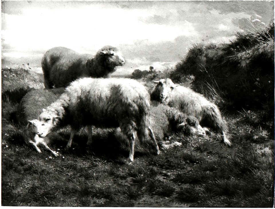 Rosa Bonheur - Een landschap met schapen - SA 2986 - Amsterdam Museum