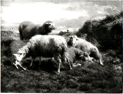 Rosa Bonheur - Een landschap met schapen - SA 2986 - Amsterdam Museum