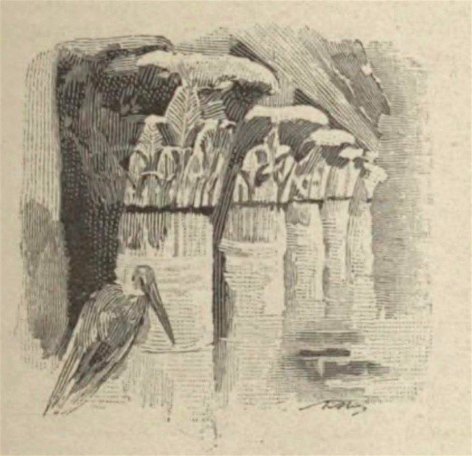 Rosny aîné - Tabubu, 1894 (page 111 crop)