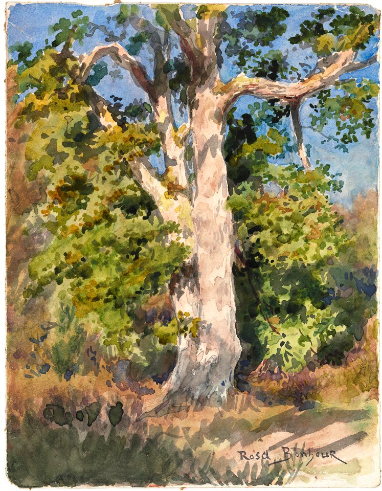 Rosa Bonheur - Tree Study - 2009.124 - Cleveland Museum of Art