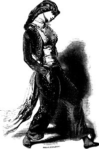 Rose-PomponWanderingJew