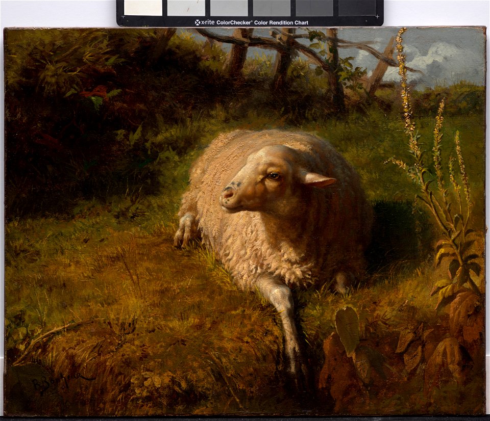 Rosa Bonheur - A Sheep at Rest - 2018.44 - Dallas Museum of Art