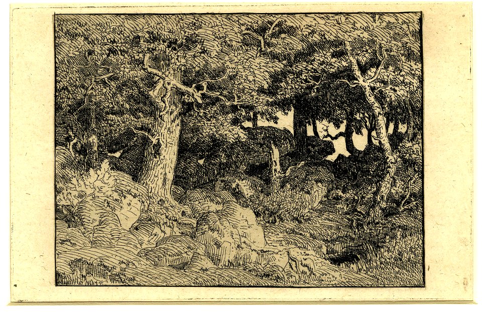 Rousseau - Chênes de roche, 1866,1013.601