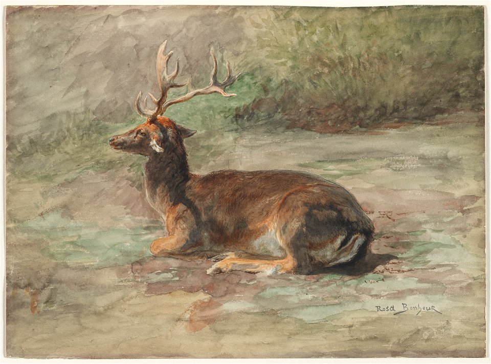 Rosa Bonheur - Recumbent Stag - 1977.3 - Cleveland Museum of Art