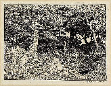 Rousseau - Oak from Rocks, 1973.862