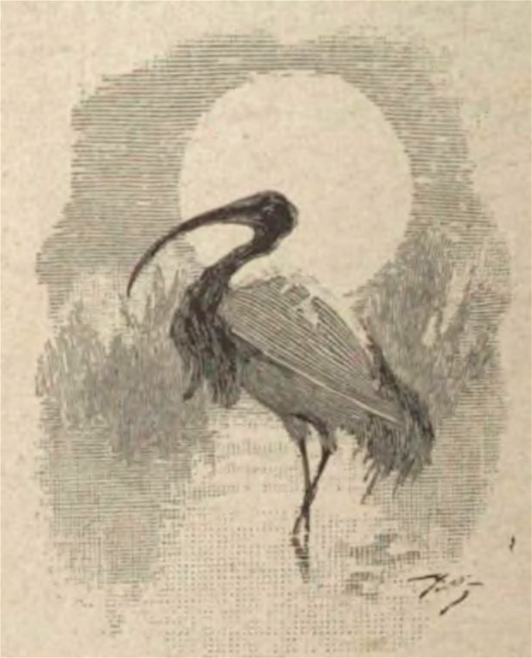 Rosny aîné - Tabubu, 1894 (page 108 crop)