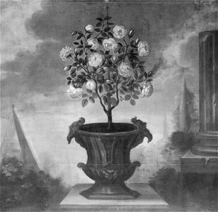 Rosenträd i en kruka (David von Cöln) - Nationalmuseum - 15305