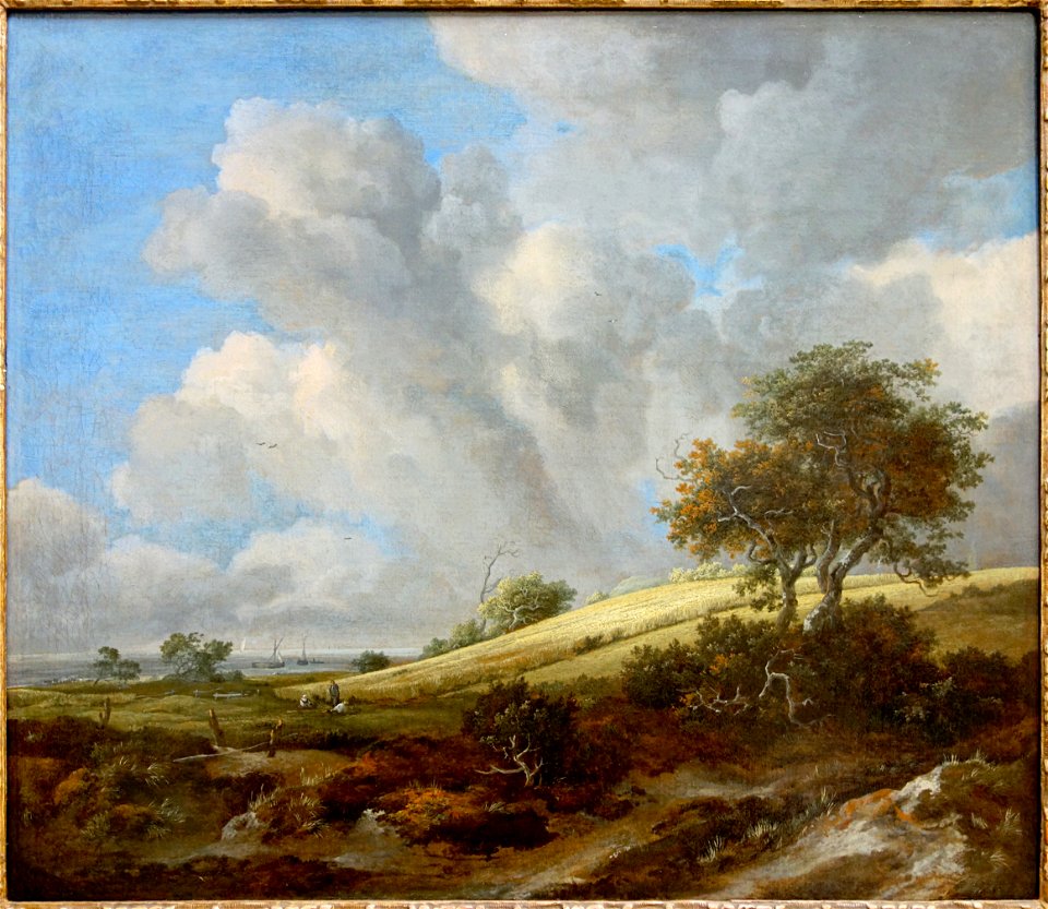 Rotterdam ruisdael champ zuiderzee