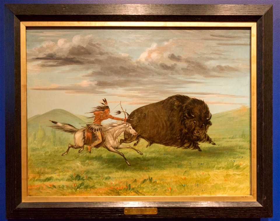 Royal Ontario Museum-9465