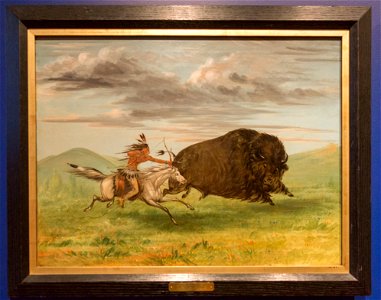 Royal Ontario Museum-9465