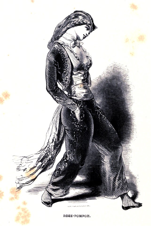 Rose-pompon Gavarni