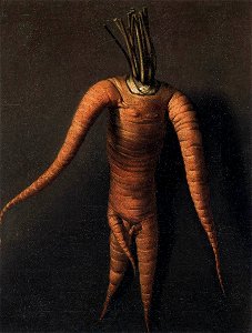 Royen, Willem Frederik - The Carrot - 1699