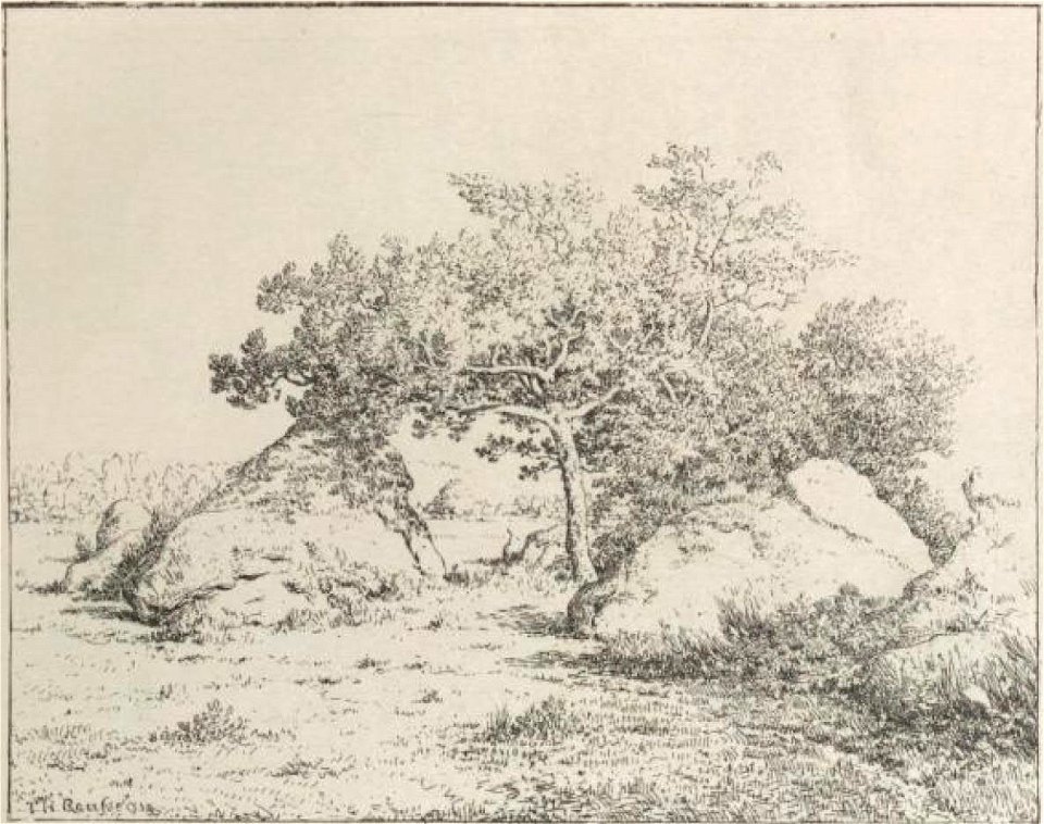 Rousseau - Delteil, 5