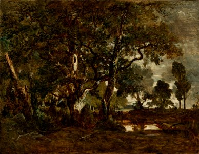 Théodore Rousseau (French - Forest of Fontainebleau, Cluster of Tall Trees Overlooking the Plain of Clair-Bois at the Edge of Ba... - Google Art Project