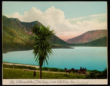 Rotorua, The Blue Lake (Tikitapu) LCCN2017657815