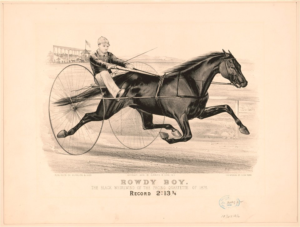 Rowdy Boy, the black whirlwind of the pacing quartette of 1879 - J.C. LCCN93508183