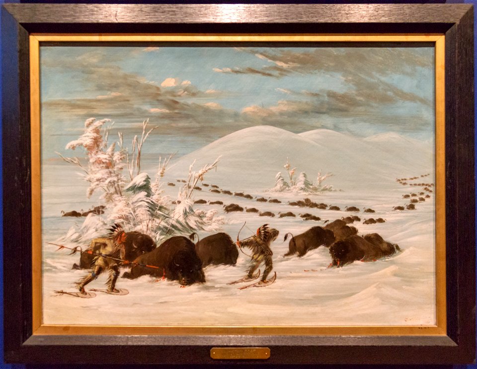 Royal Ontario Museum-9469