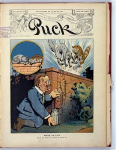 Rough on cats - Frank A. Nankivell. LCCN2011647308