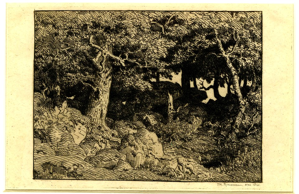 Rousseau - Chênes de roche, 1866,1013.602
