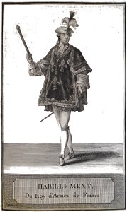Roy d'armes Louis XVI Patas06113