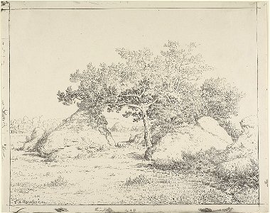 Rousseau - Cherry Tree at Plante à Biau, 1926.2236