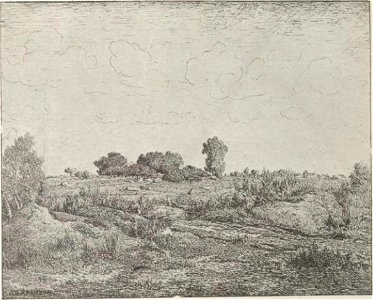 Rousseau - Delteil, 6