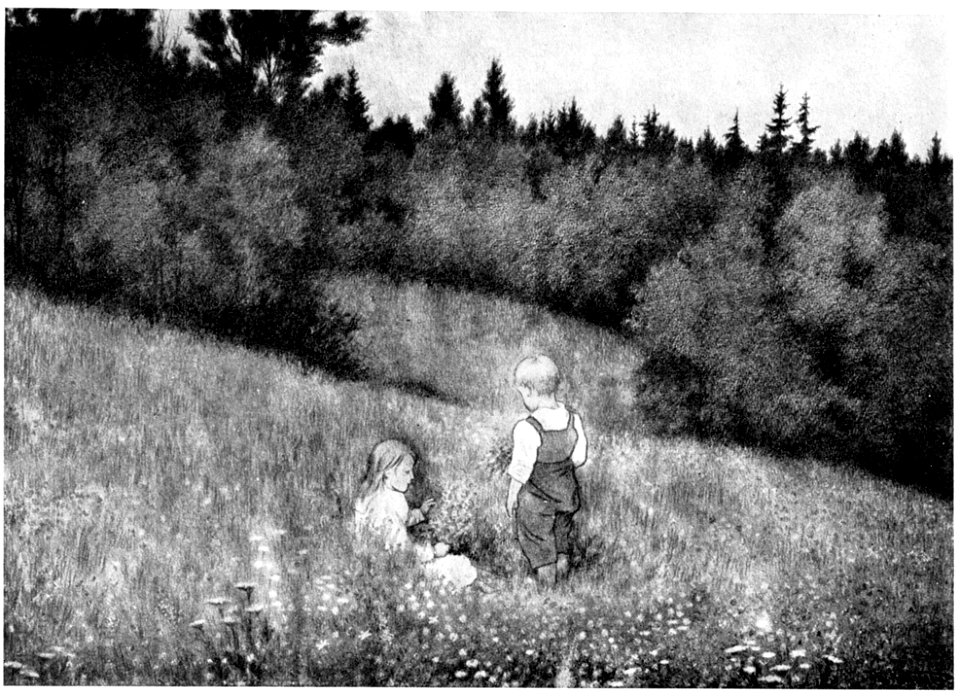 Rser og fioler- roses and violets