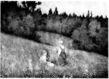 Rser og fioler- roses and violets