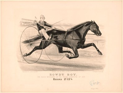 Rowdy Boy, the black whirlwind of the pacing quartette of 1879 - J.C. LCCN93508183