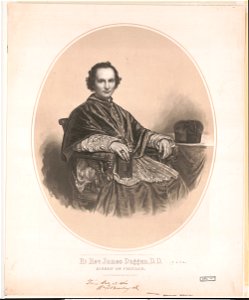 Rt. Rev. James Duggan, D.D. Bishop of Chicago LCCN2003671779