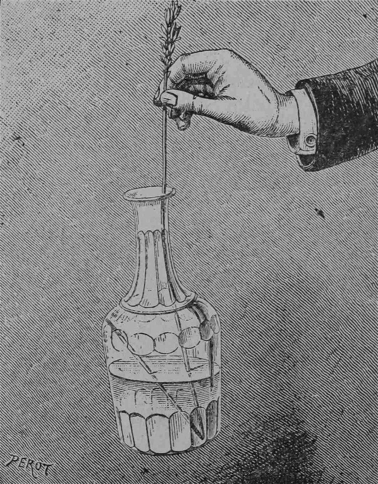 Rozrywki Naukowe Fig. 009